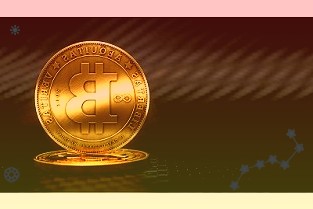 鹏都农牧2021年报：肉牛肉羊板块齐发力带动净利增长超5倍